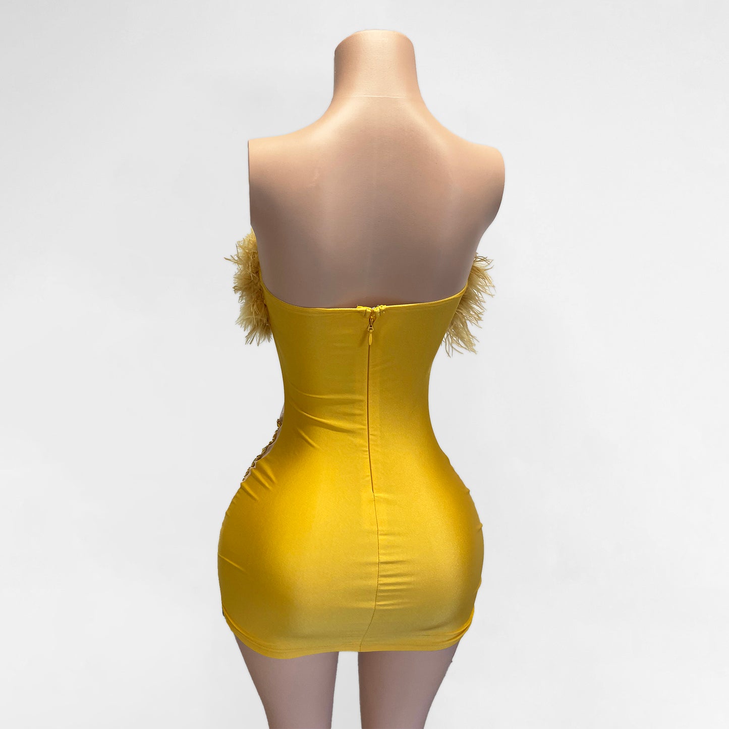 Layla Rhinestone Beaded Feather Top Mini Dress