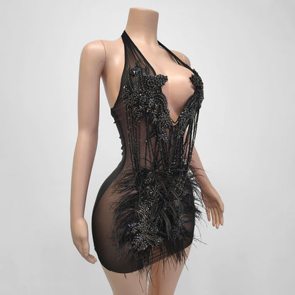 Leilani Sheer Feather Rhinestone Beaded Draped Tassel Mini Dress