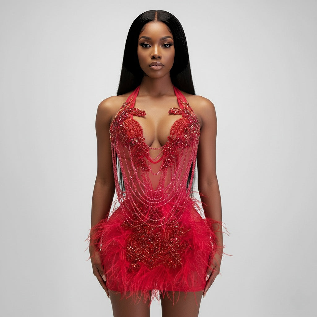 Leilani Sheer Feather Rhinestone Beaded Draped Tassel Mini Dress